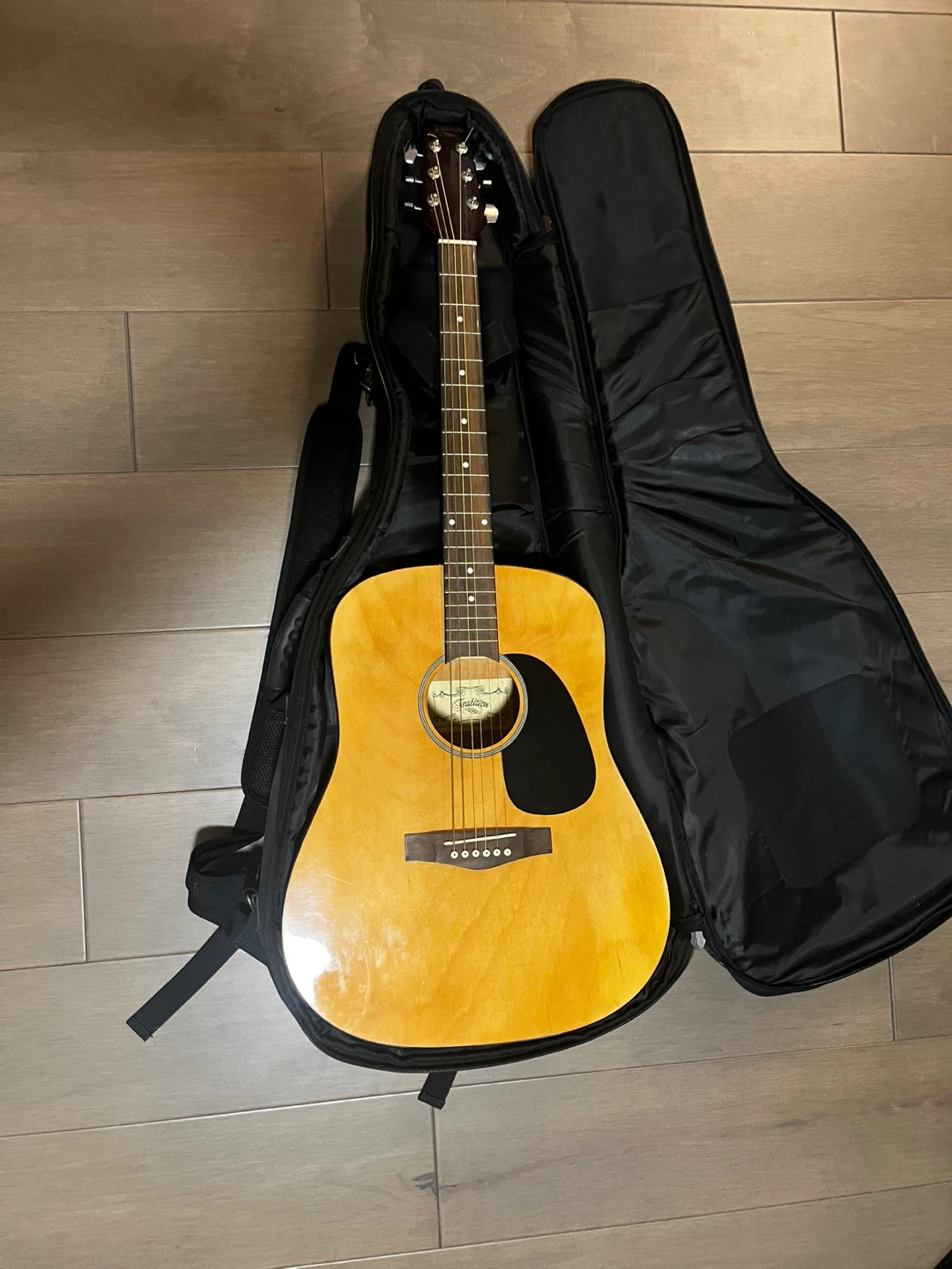 Traditon Guitar with bag