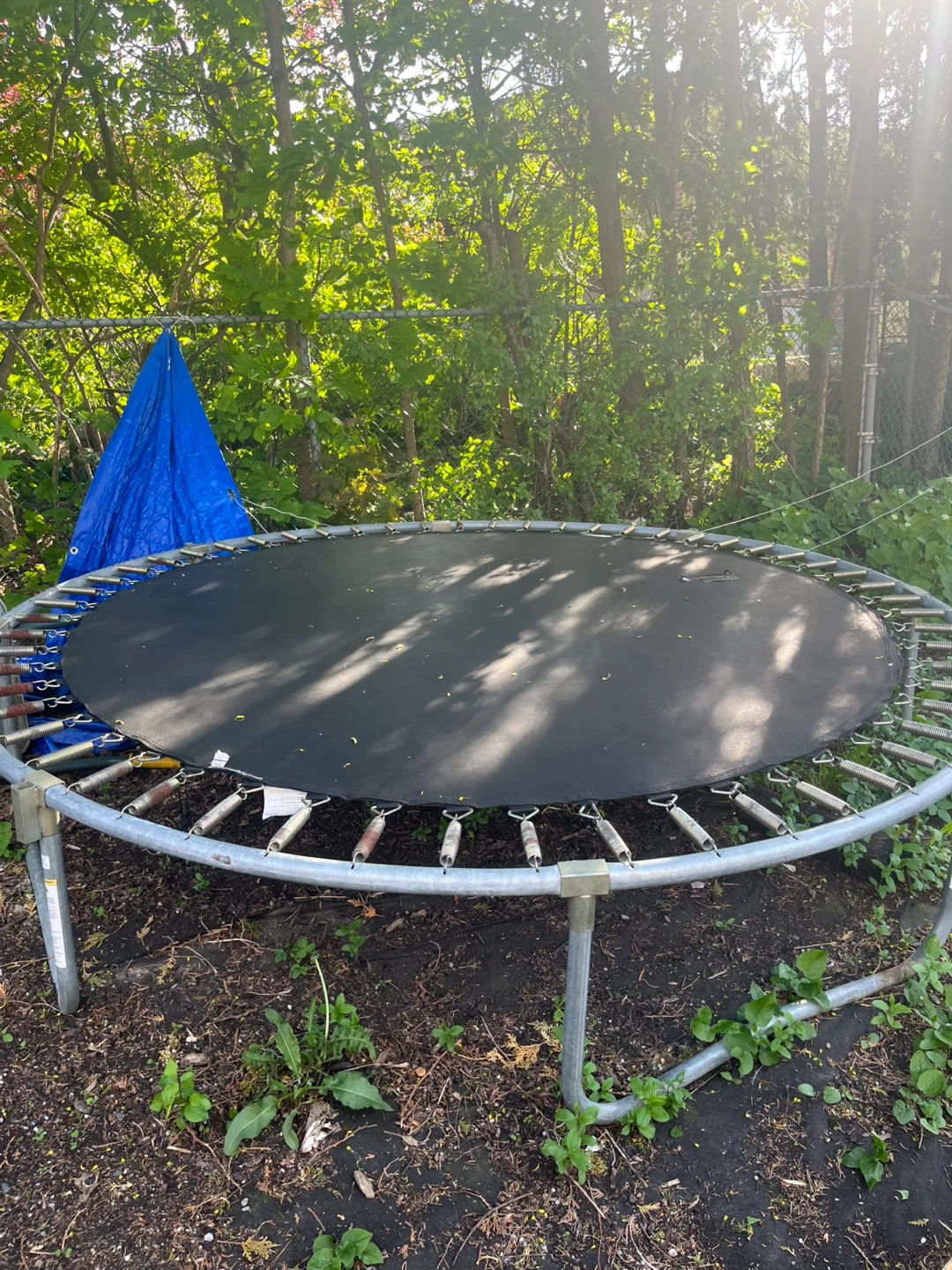 FREE trampoline