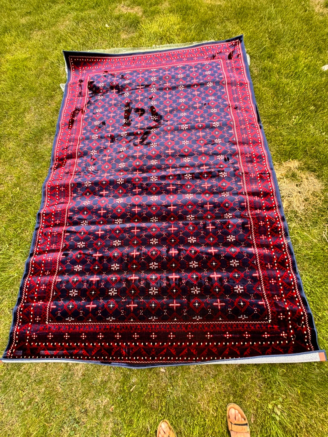 Blue and Red Oriental Rug