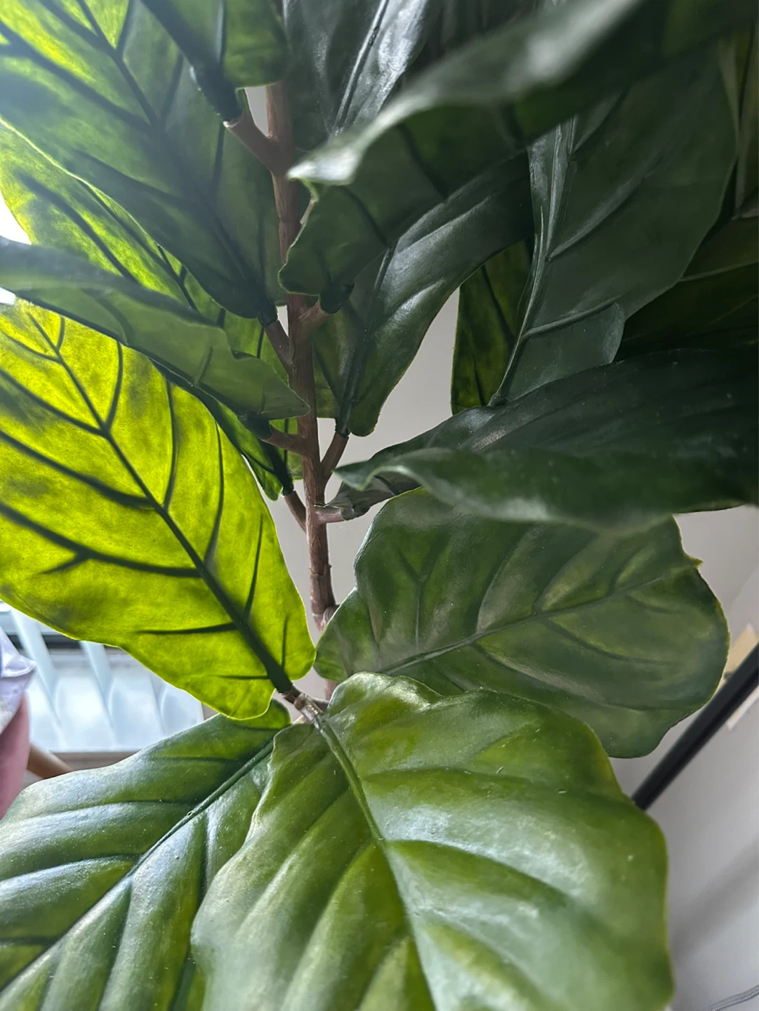 IKEA Artificial Fiddle Leaf Fig Plant with Woven Jute Planter - photo 3