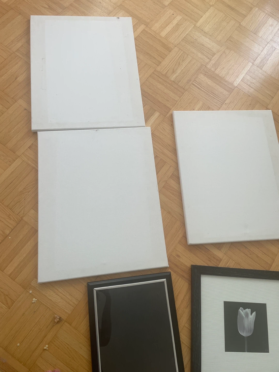 Assorted Picture Frames and Canvases