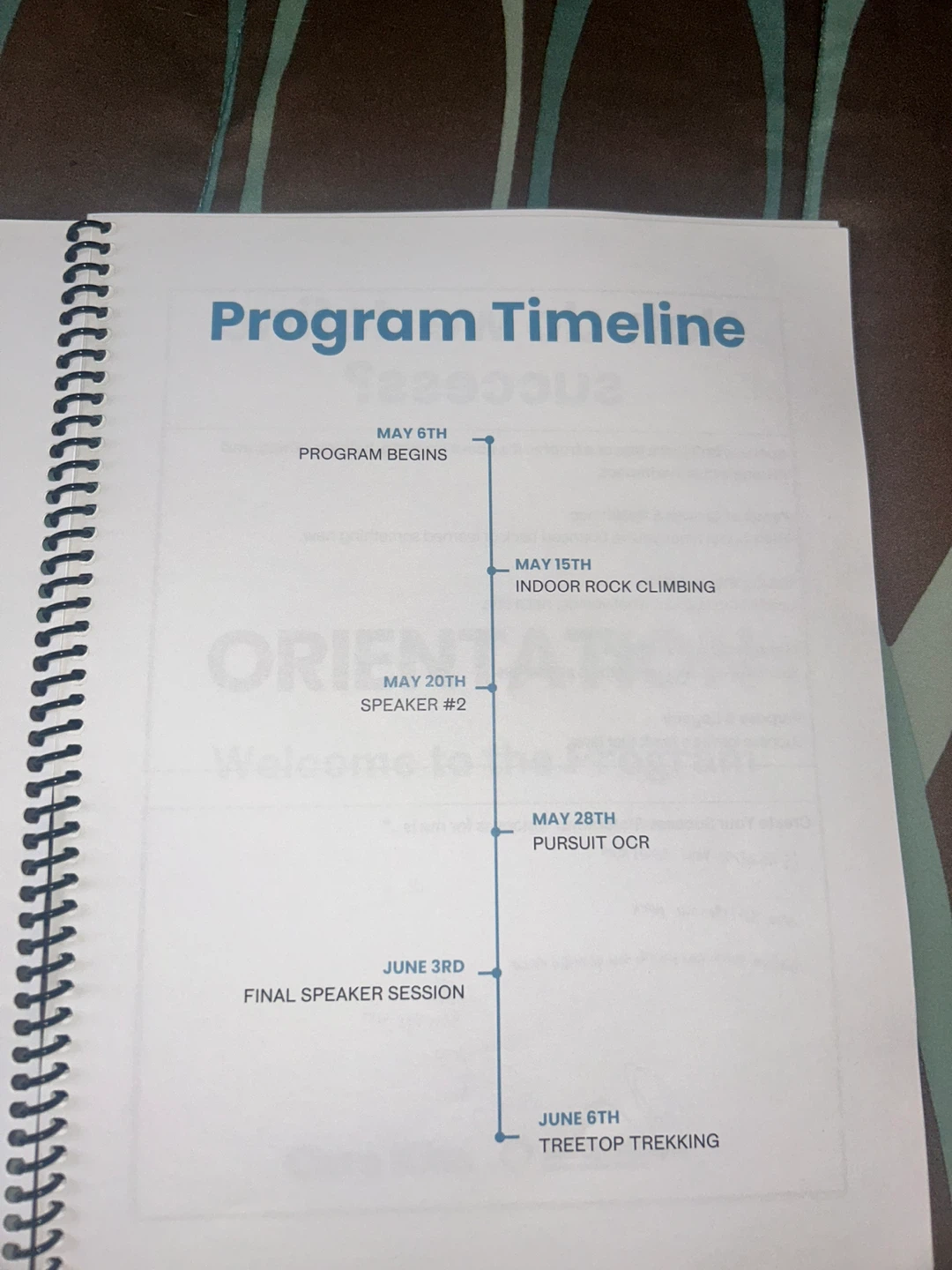 Program Timeline Document