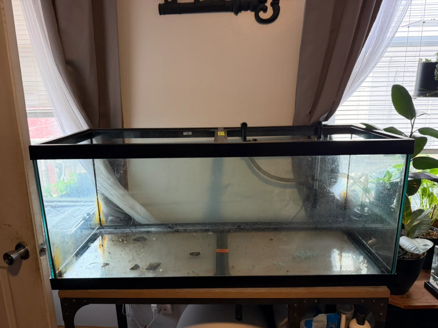75 gallon tank