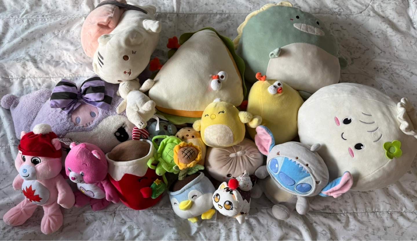 Assorted Stuffed Plush Toys 18 pieces 🧸