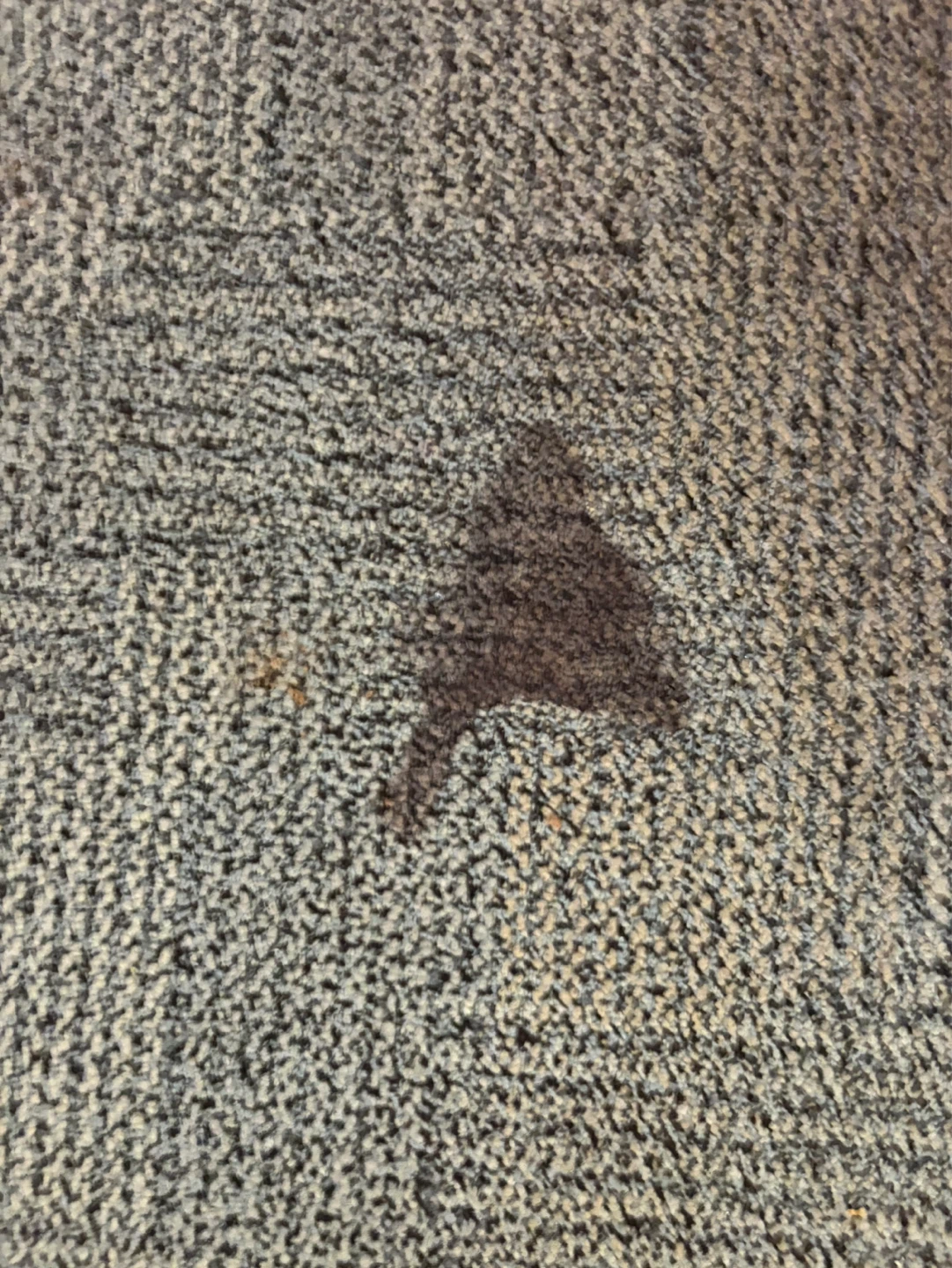 Carpet Remnant