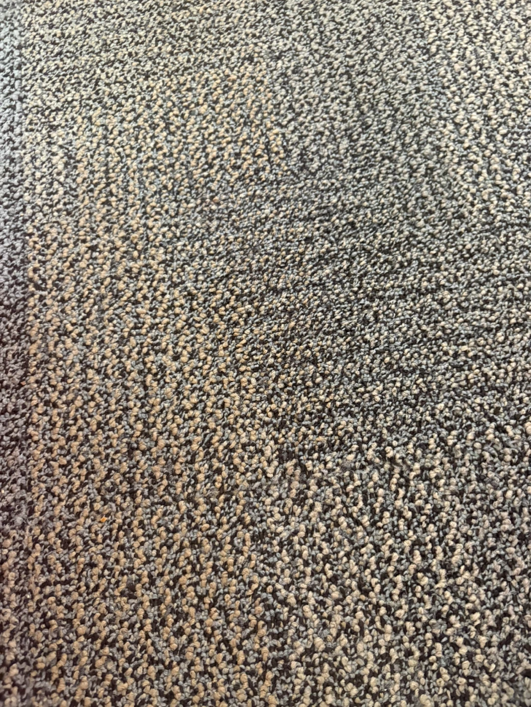 Carpet Remnant - photo 2