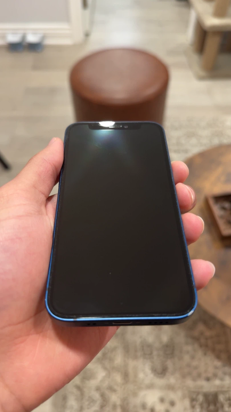 Apple iPhone 12 mini - Blue