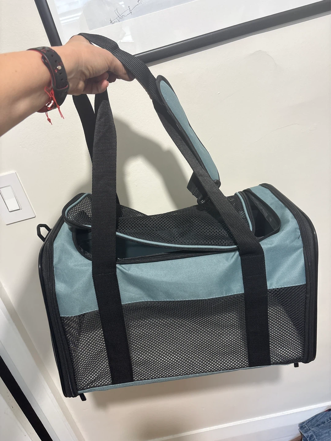 Akinerri Pet Carrier Bag