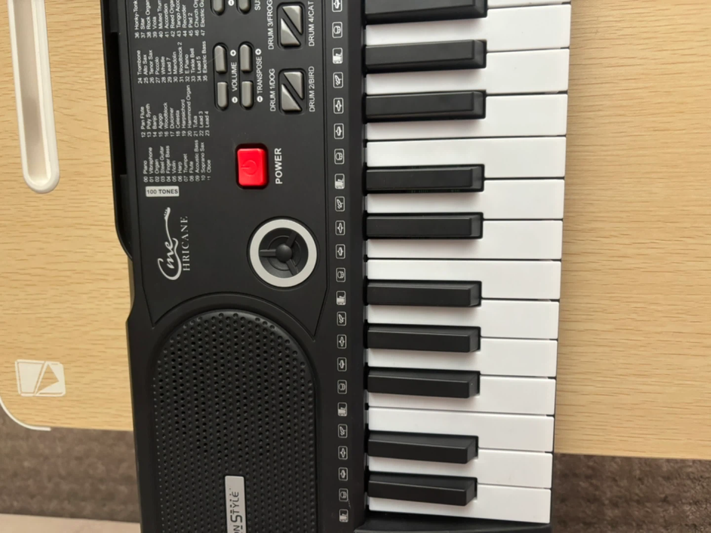 Kids and Adults Electronic Keyboard with 100 Tones - photo 2