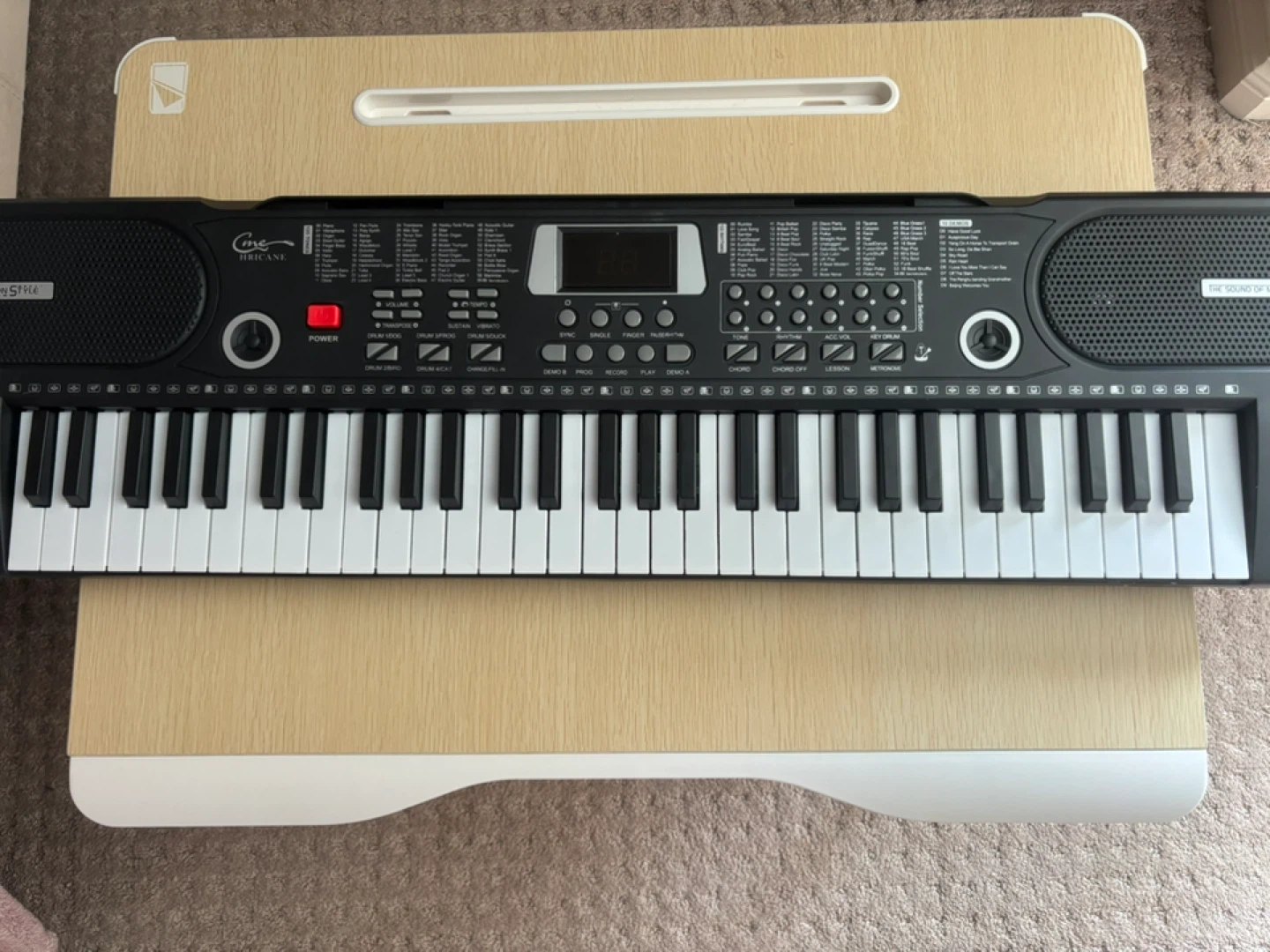 Kids and Adults Electronic Keyboard with 100 Tones