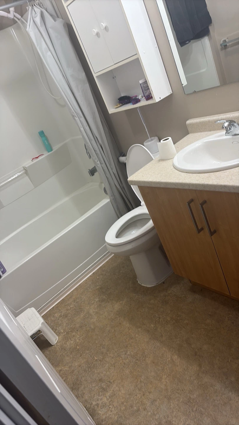 White bathtub and toilet set