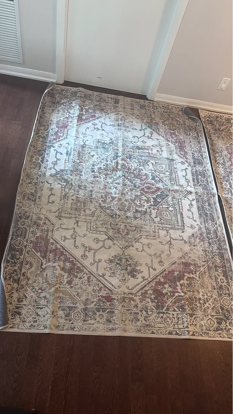 Persian Style Area Rug