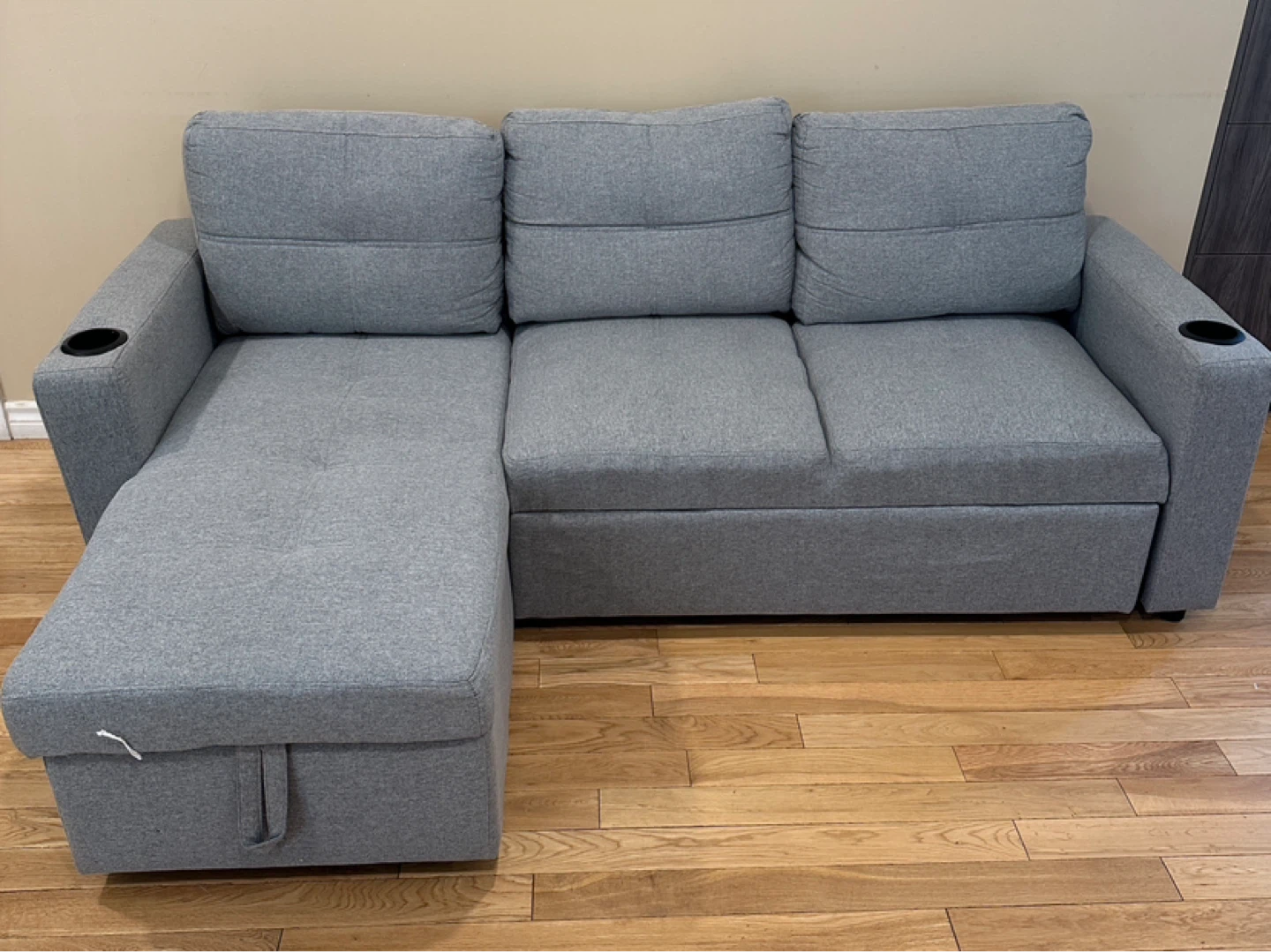 Modern Sleeper Sectional Sofa with Storage Chaise (CAN DELIVER)
