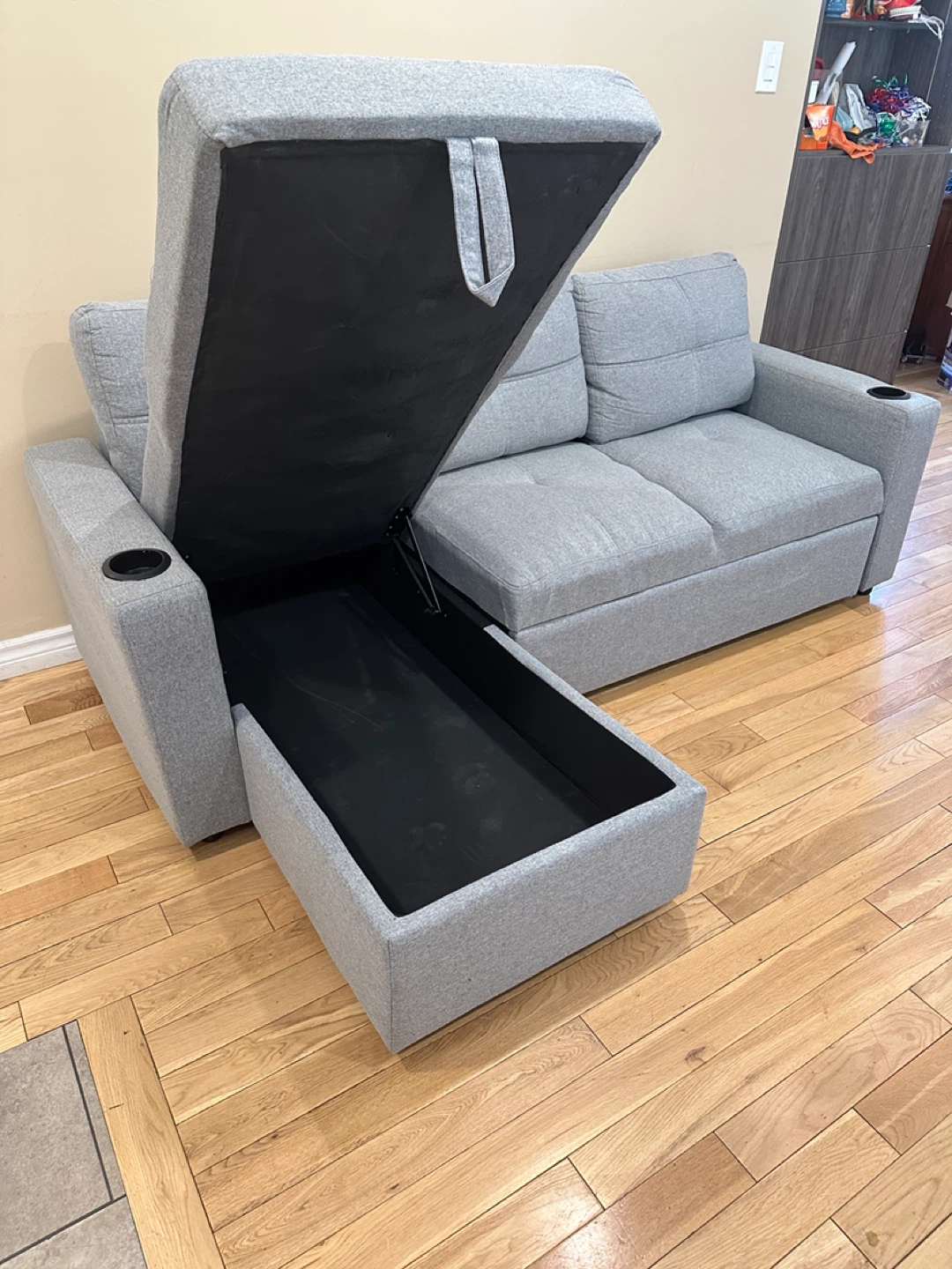 Modern Sleeper Sectional Sofa with Storage Chaise (CAN DELIVER) - photo 5