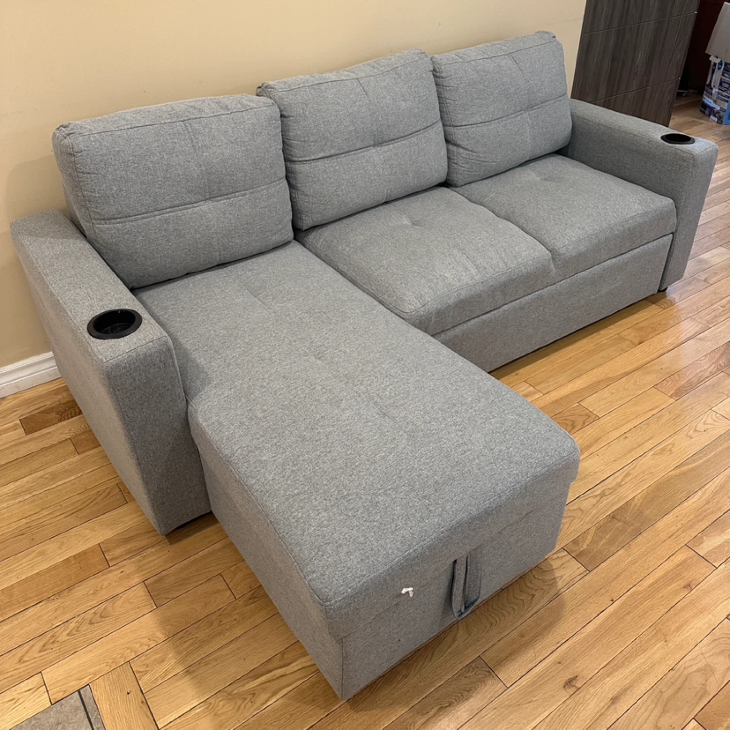 Modern Sleeper Sectional Sofa with Storage Chaise (CAN DELIVER) - photo 4