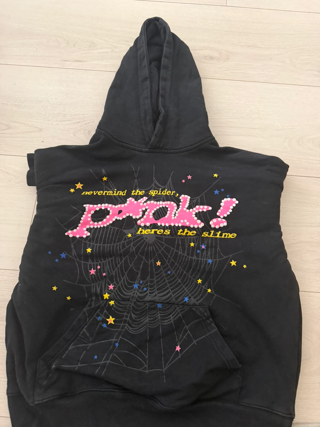 Pink! "Nevermind the Spider" Hoodie