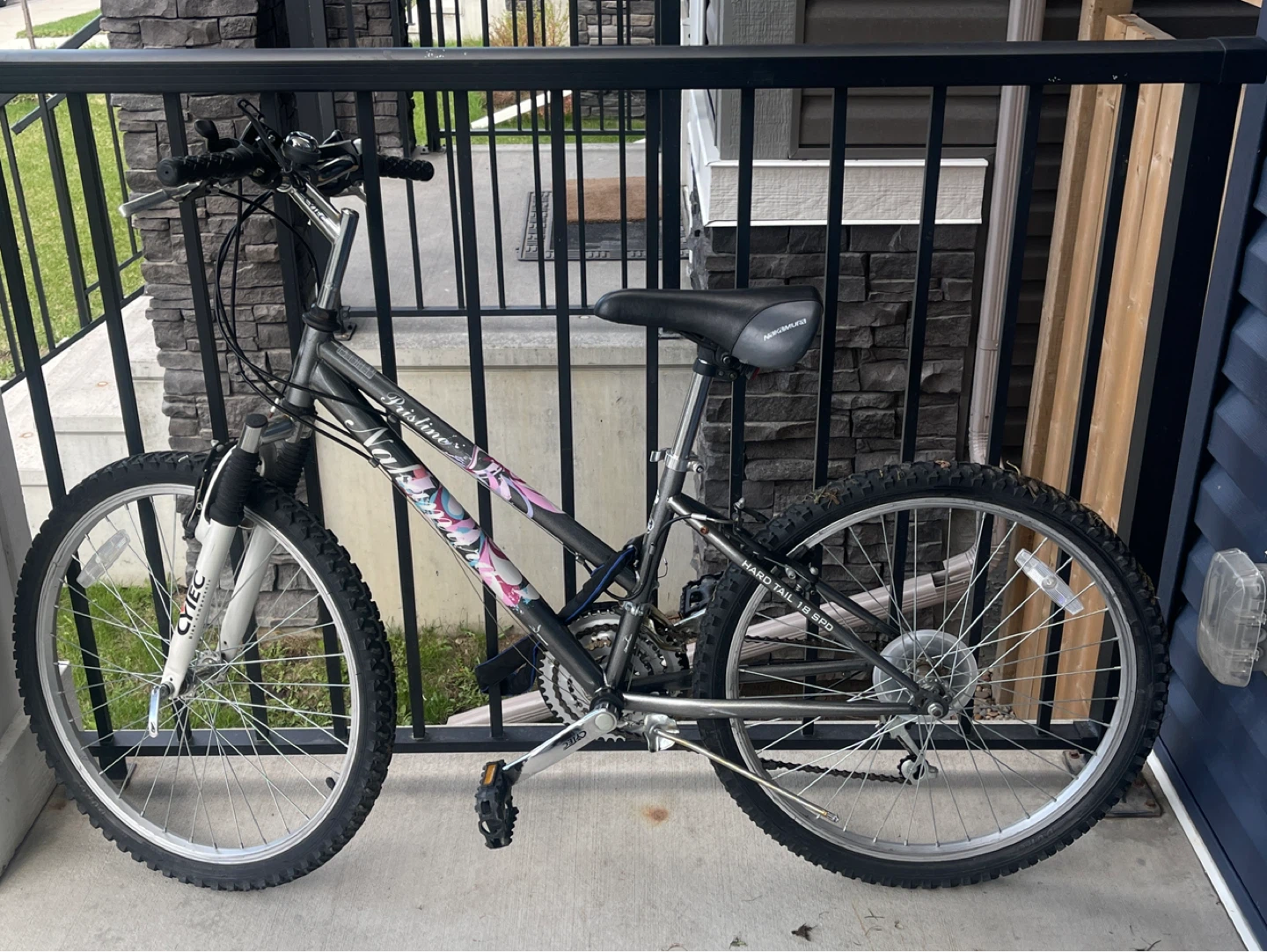 Pristine Mountain Bike