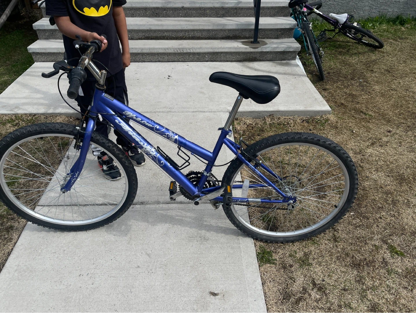 Blue "The One" Mountain Bike