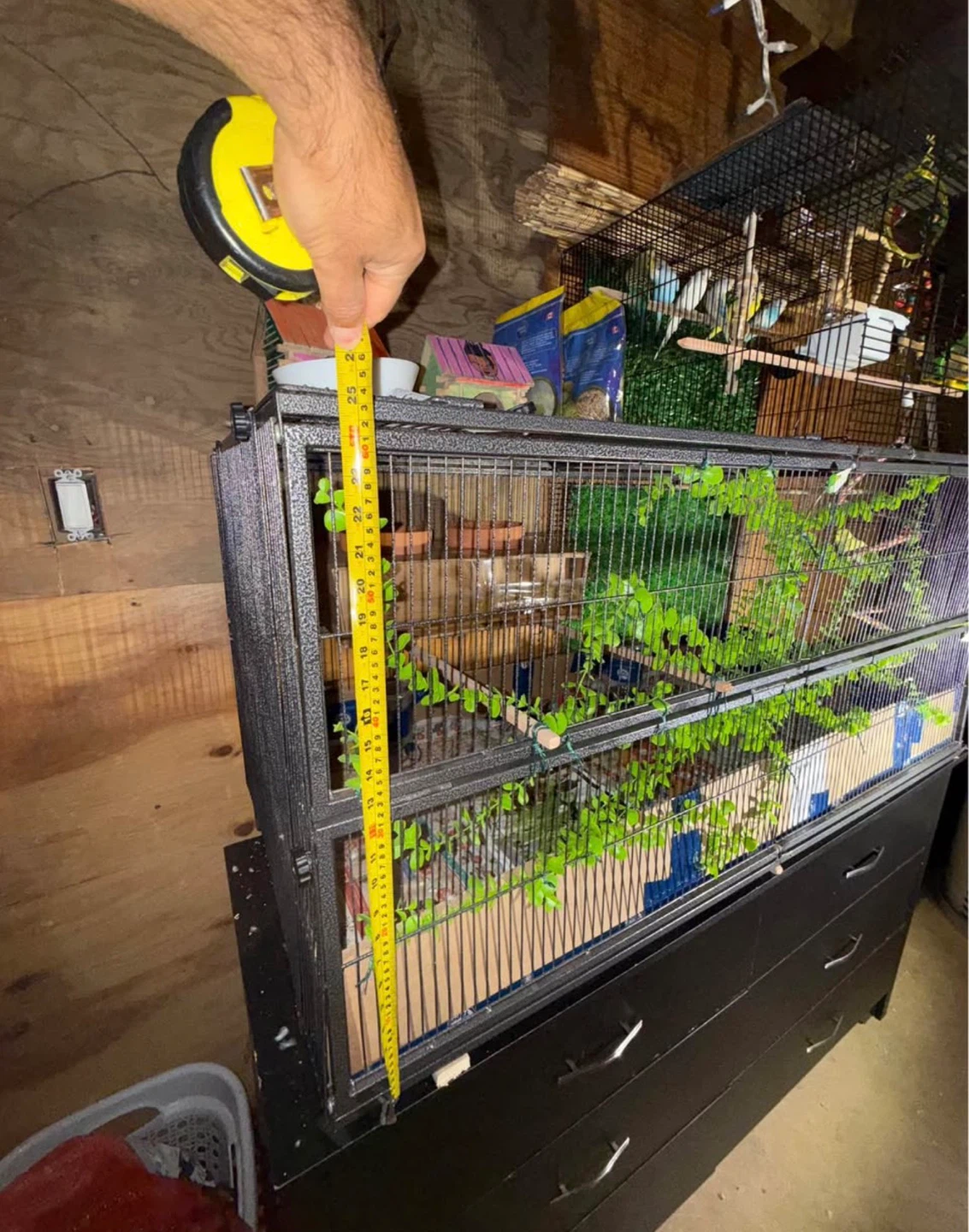 Large Bird Cage with Accessories - photo 5