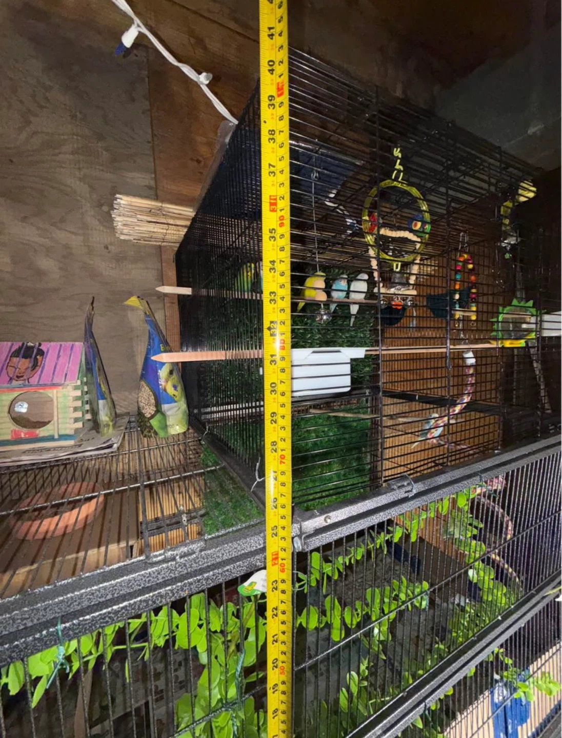 Large Bird Cage with Accessories - photo 4
