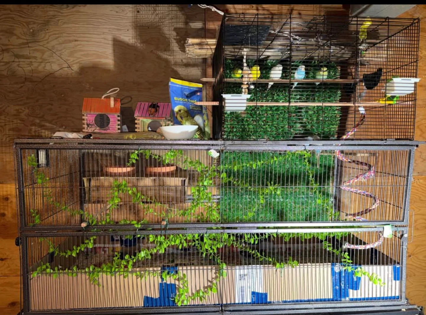Large Bird Cage with Accessories - photo 3