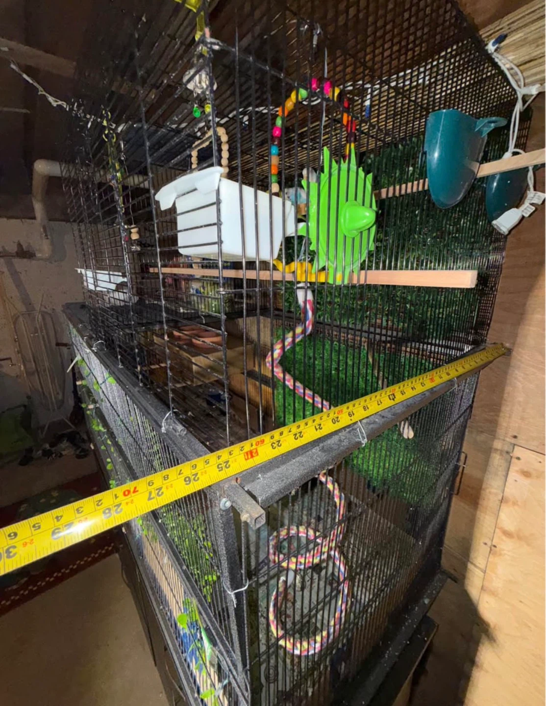 Large Bird Cage with Accessories