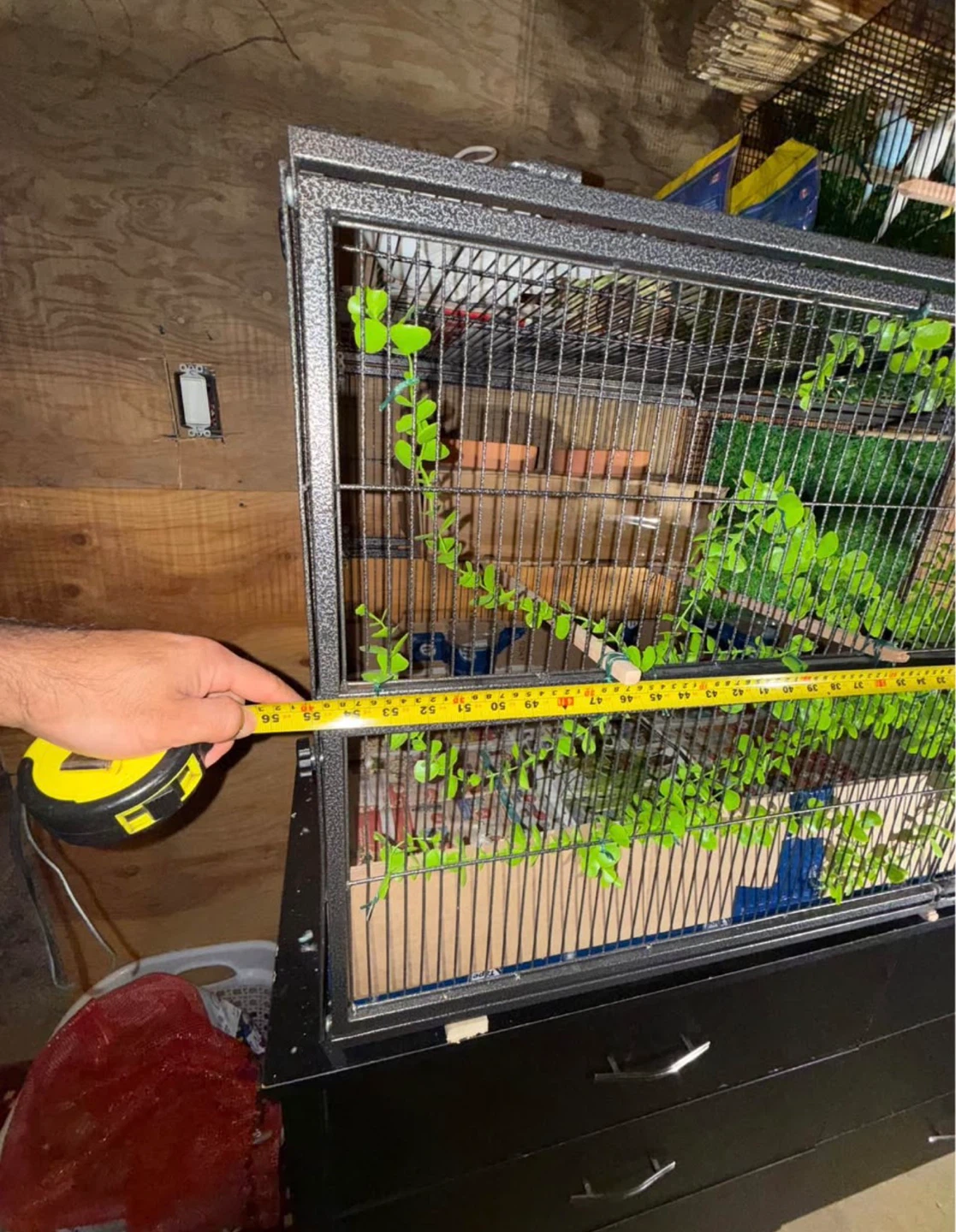 Large Bird Cage with Accessories - photo 2