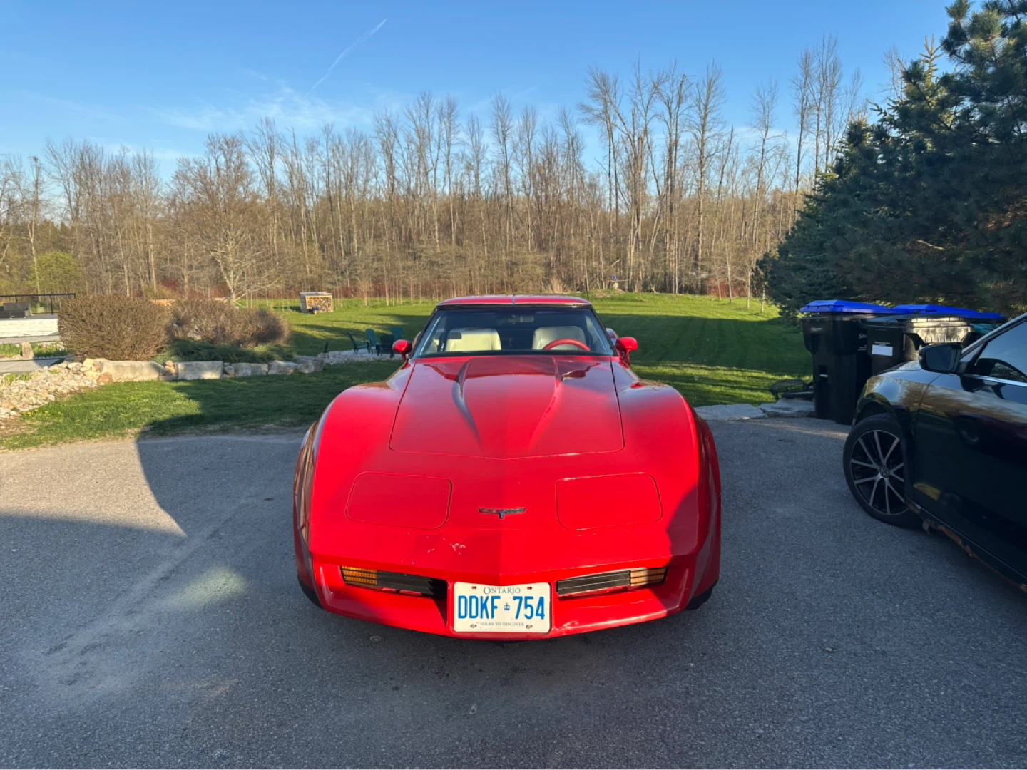 1980 c3 corvette - photo 5