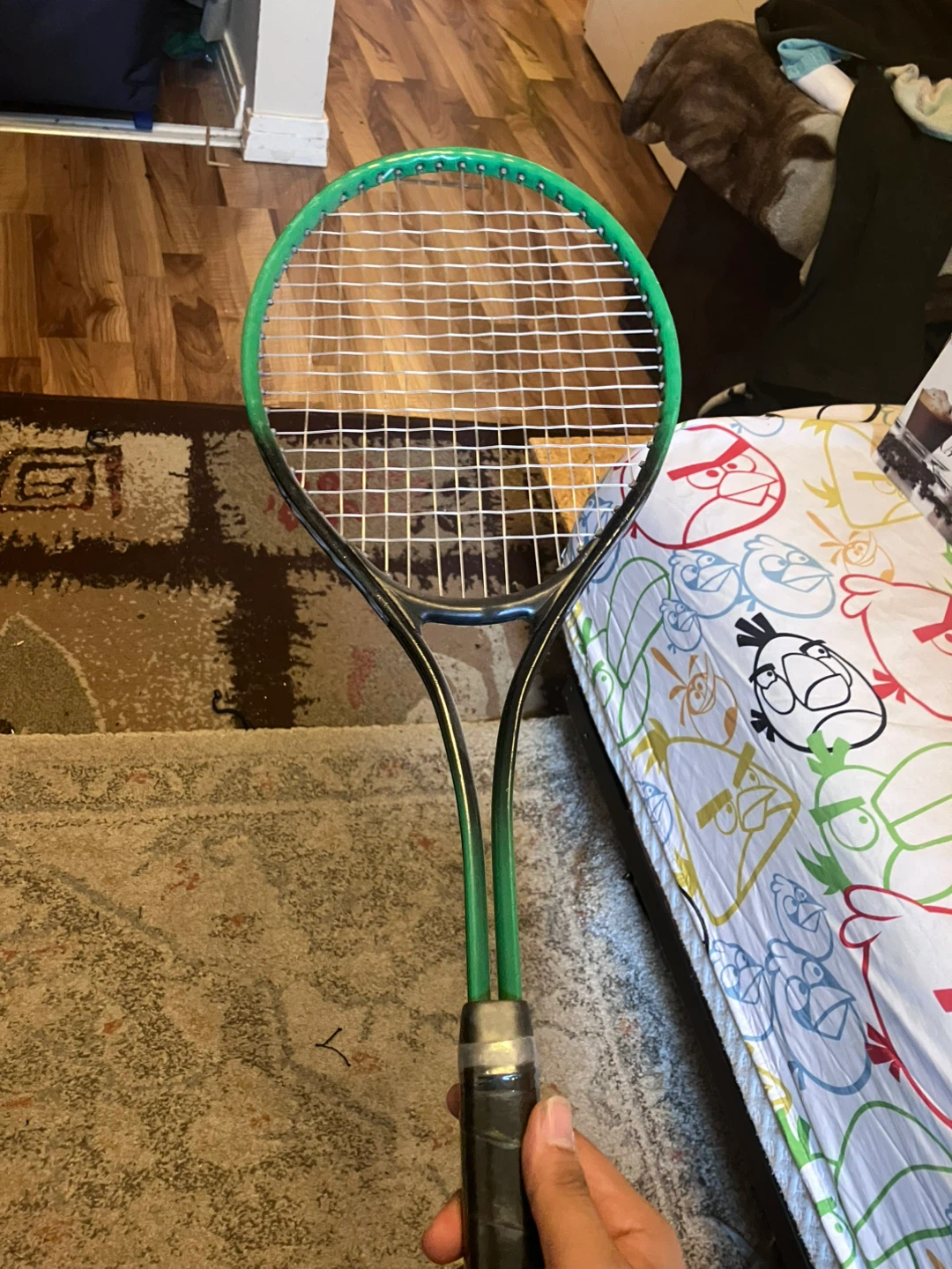 Badminton Rackets and Shuttlecocks