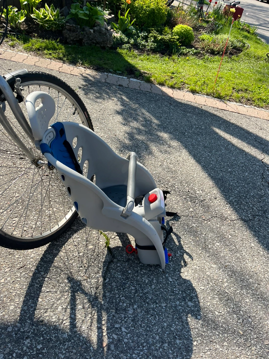 Raleigh Deluxe Child Carrier - photo 2