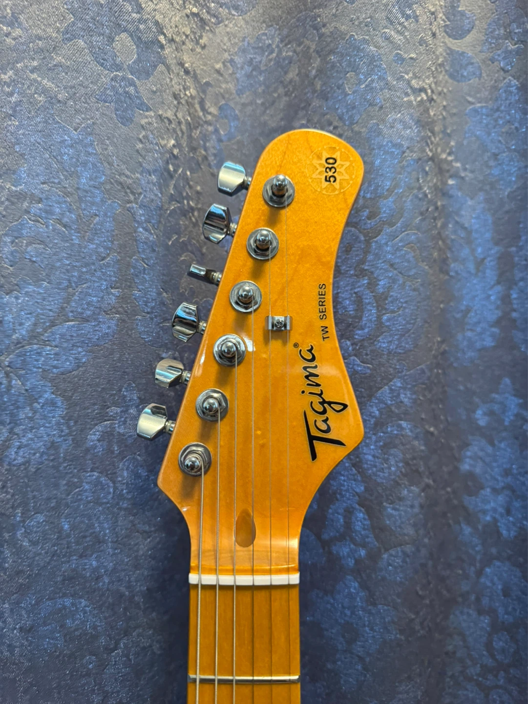 Tagima TG-530 Electric Guitar with Wayfinder Gig Bag & Freebies - photo 5
