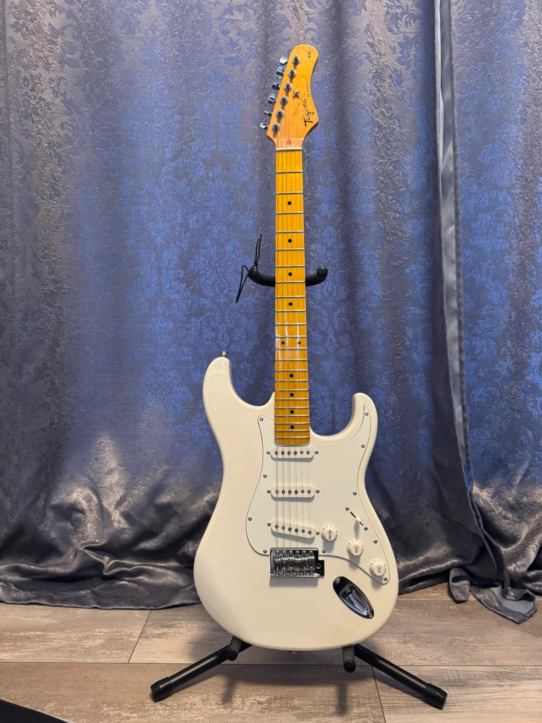 Tagima TG-530 Electric Guitar with Wayfinder Gig Bag & Freebies