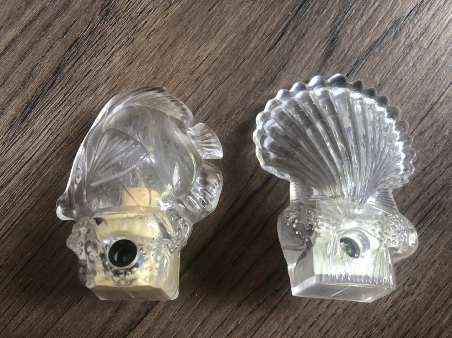 Clear Glass Fish and Seashell Night Lights