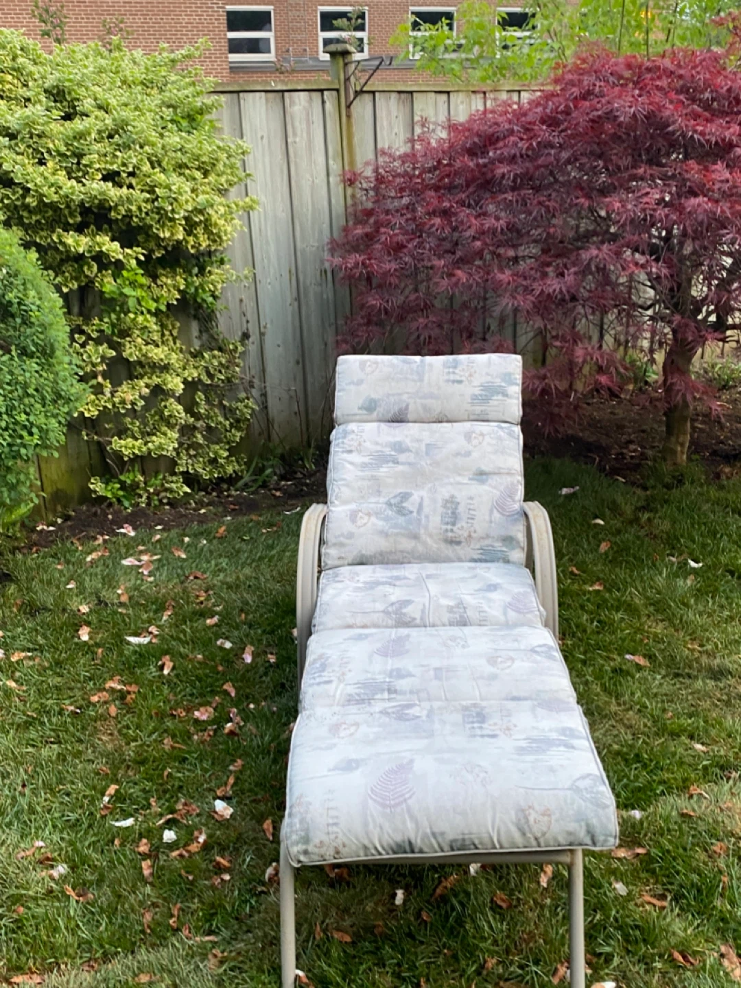 Outdoor Lounger Chair with Cushions