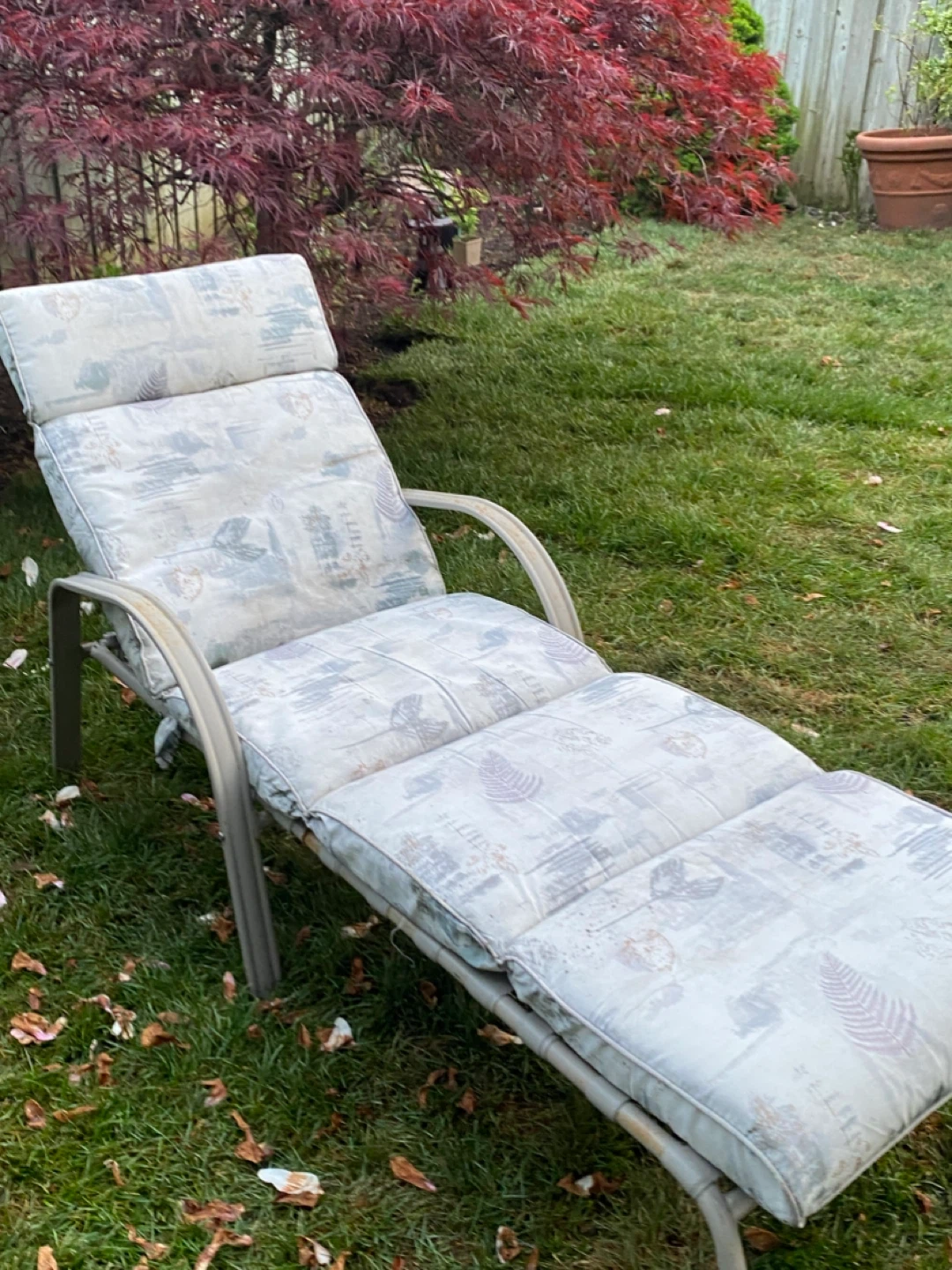 Outdoor Lounger Chair with Cushions - photo 2