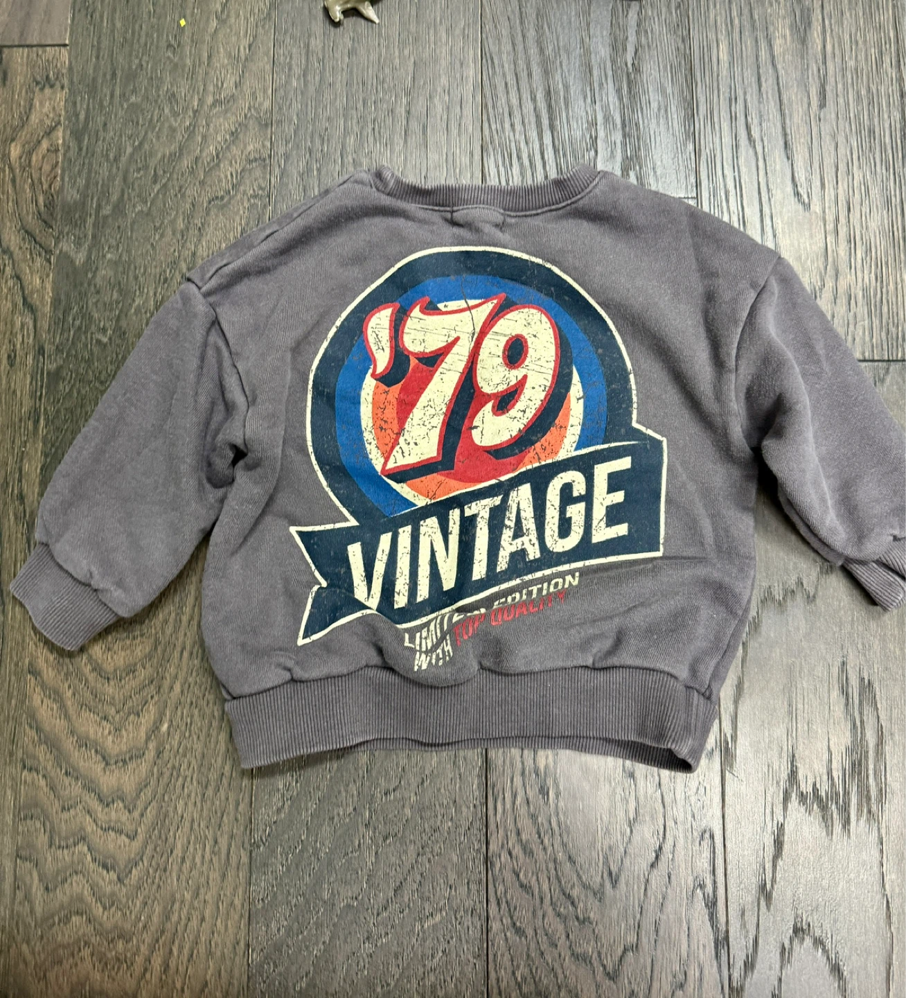 Kids Grey "Vintage 1979" Crewneck Sweatshirt
