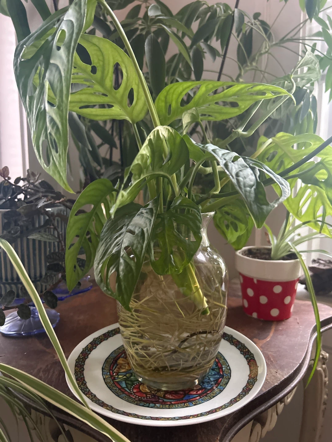 Assorted Plant Cuttings in Recycled Bottles