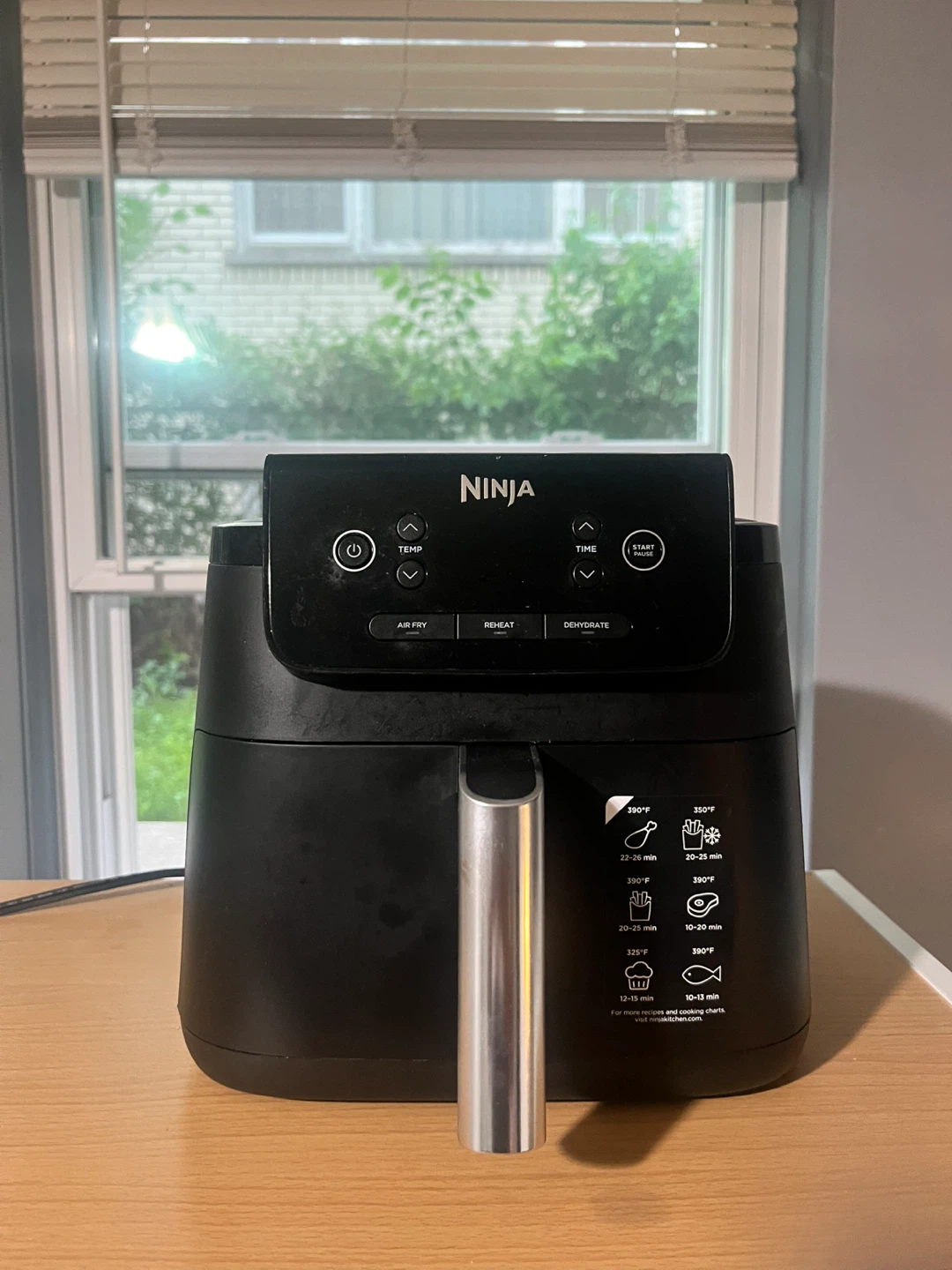 Ninja Air Fryer