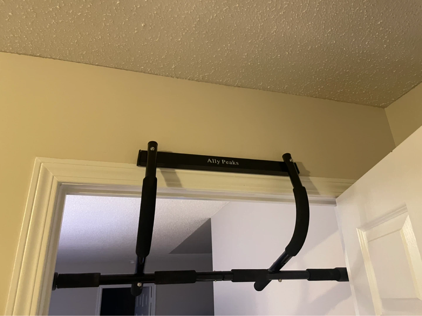 Ally Peaks Doorway Pull-Up Bar