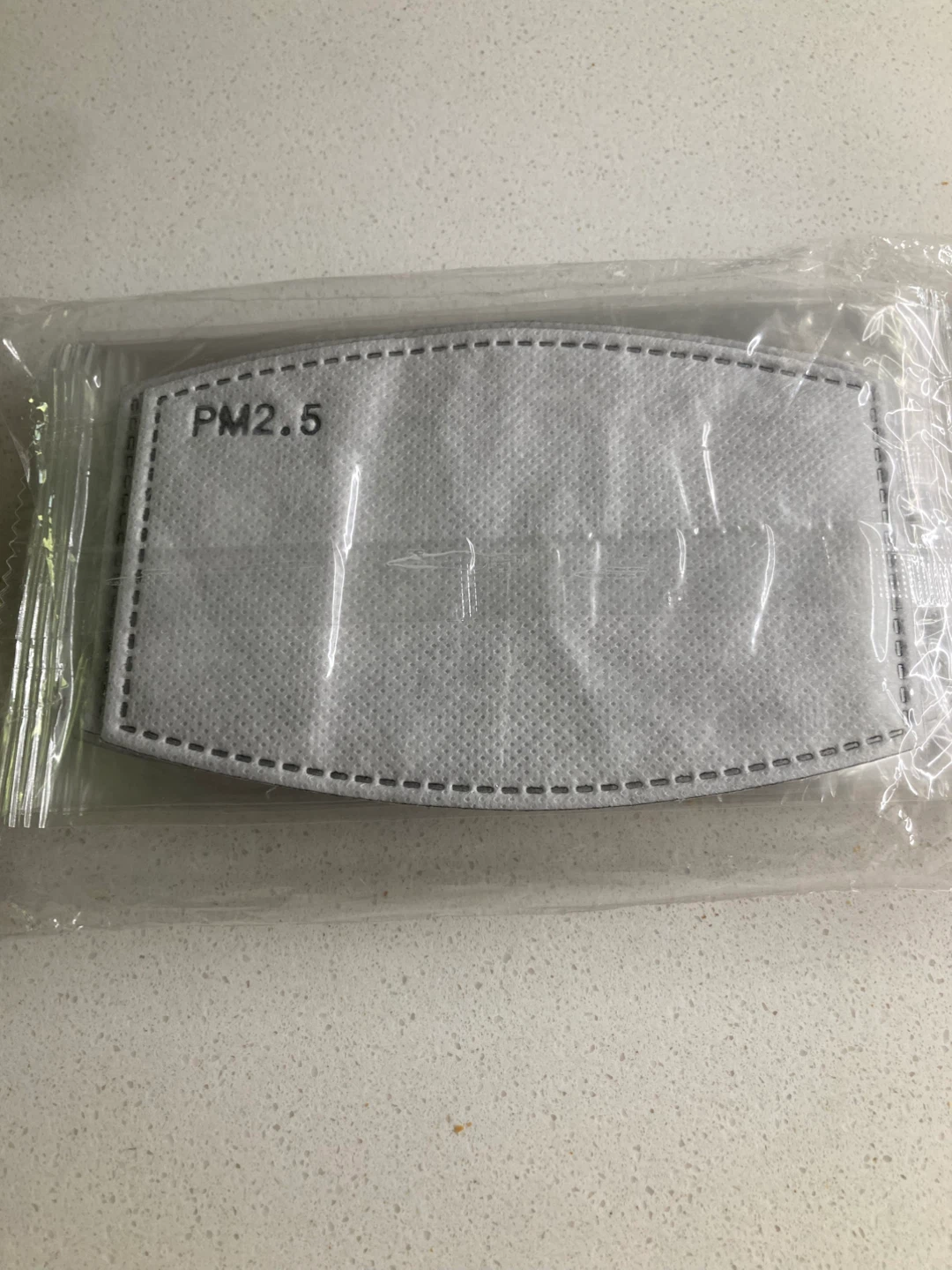 BNIP PM2.5 Filter Inserts for Masks (Pack of 10)