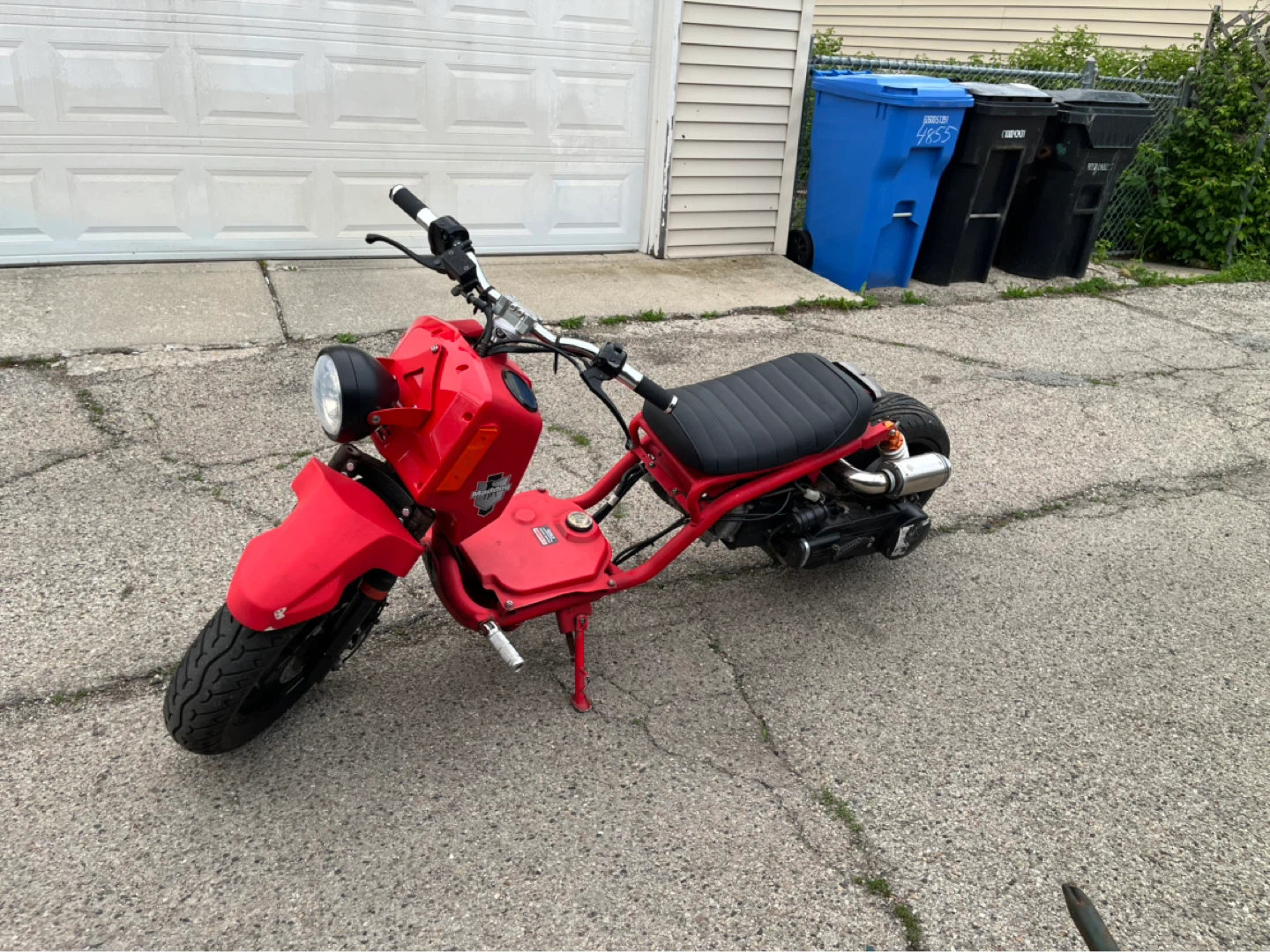 Red icebear maddog Scooter - photo 3