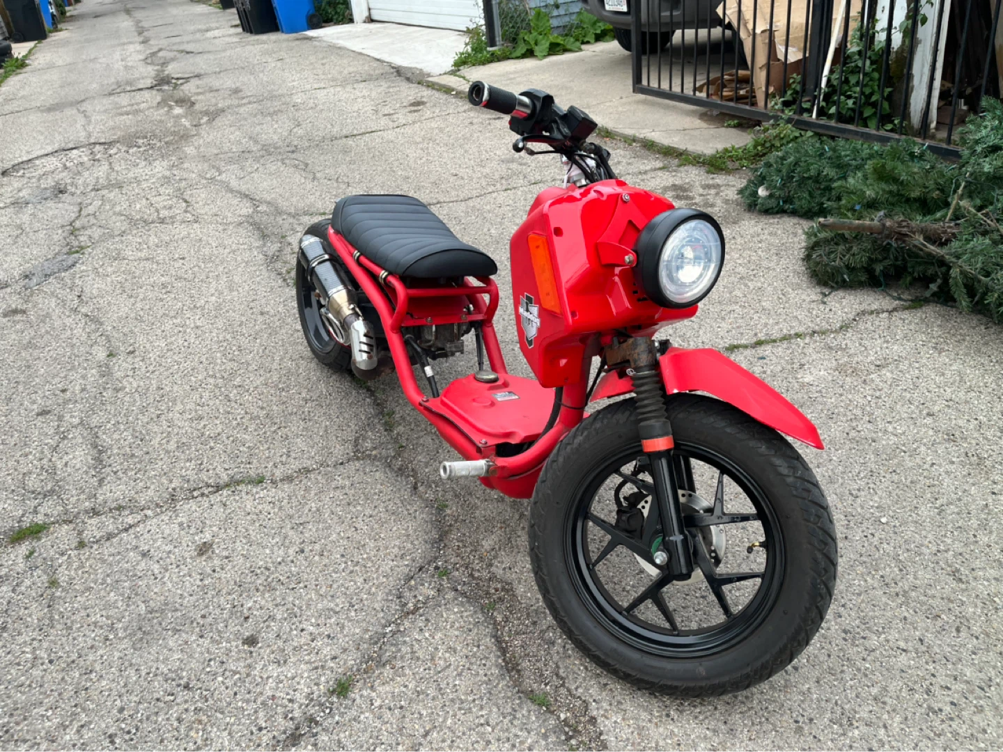 Red icebear maddog Scooter - photo 2