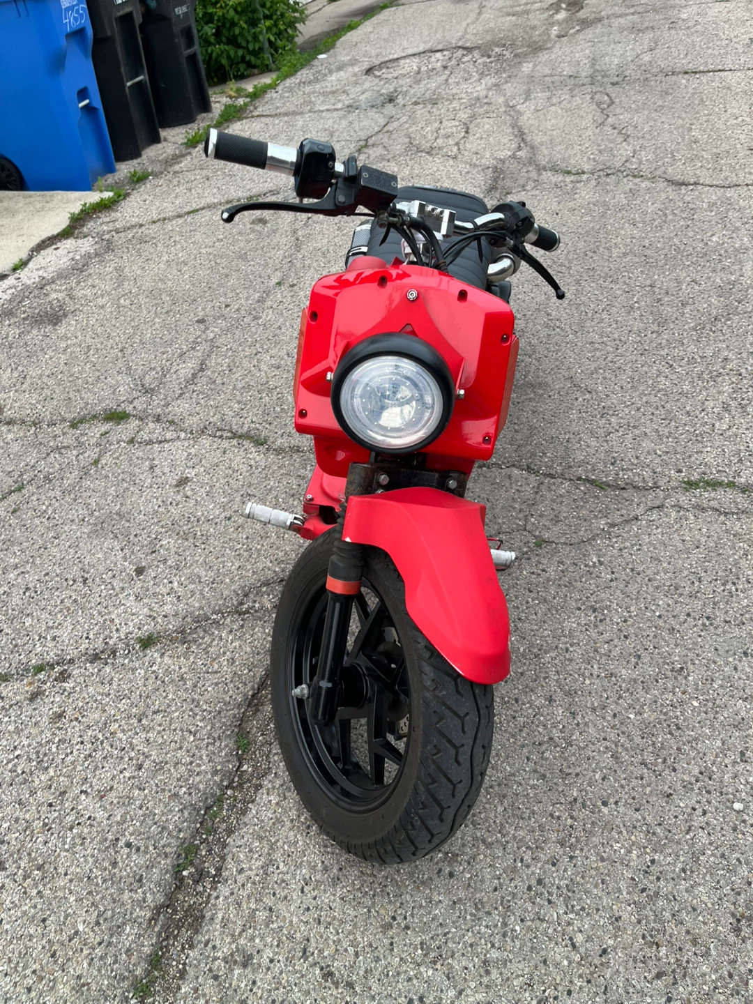 Red icebear maddog Scooter - photo 5