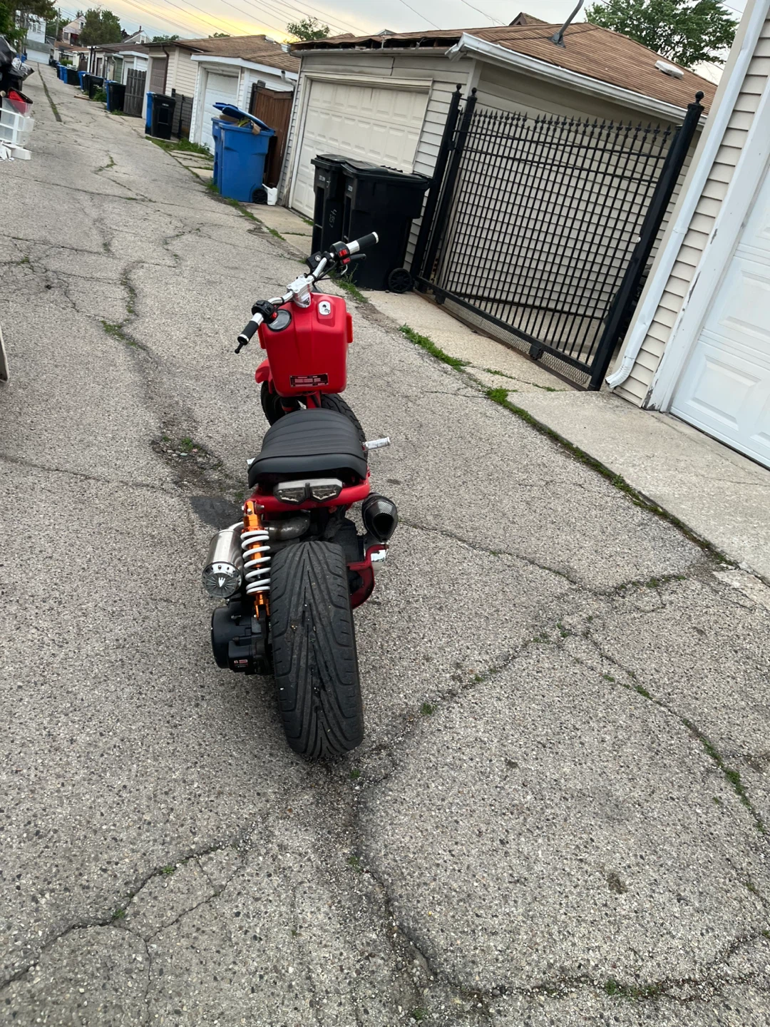 Red icebear maddog Scooter - photo 4