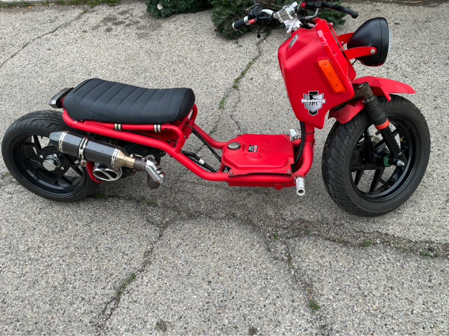 Red icebear maddog Scooter