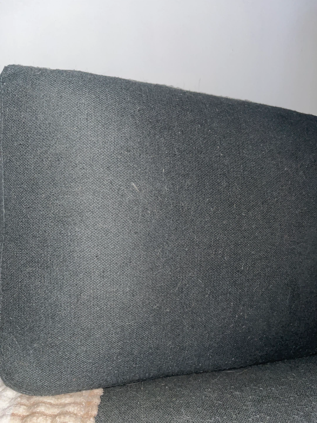 Upholstery Backrest Pillow