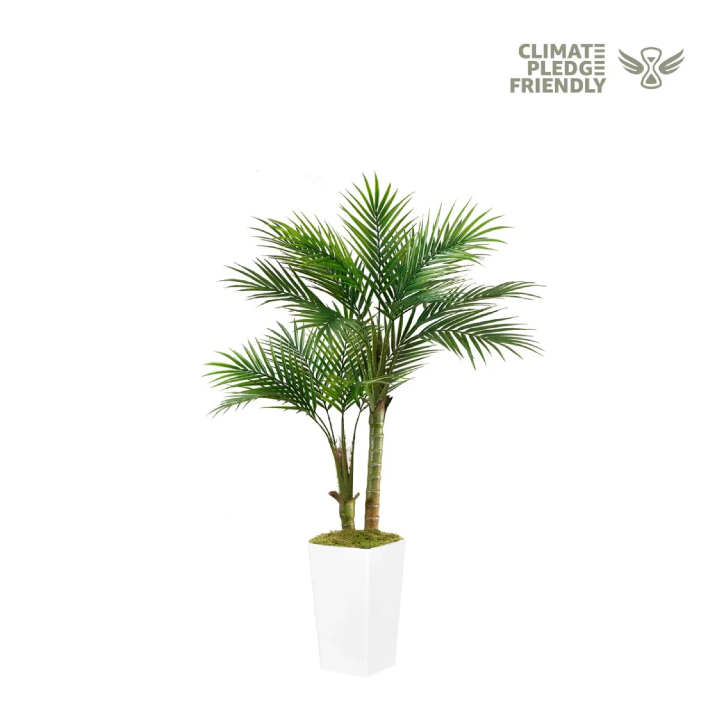 5' ARTIFICIAL PALM TREE(WITH WHITE PLASTIC)