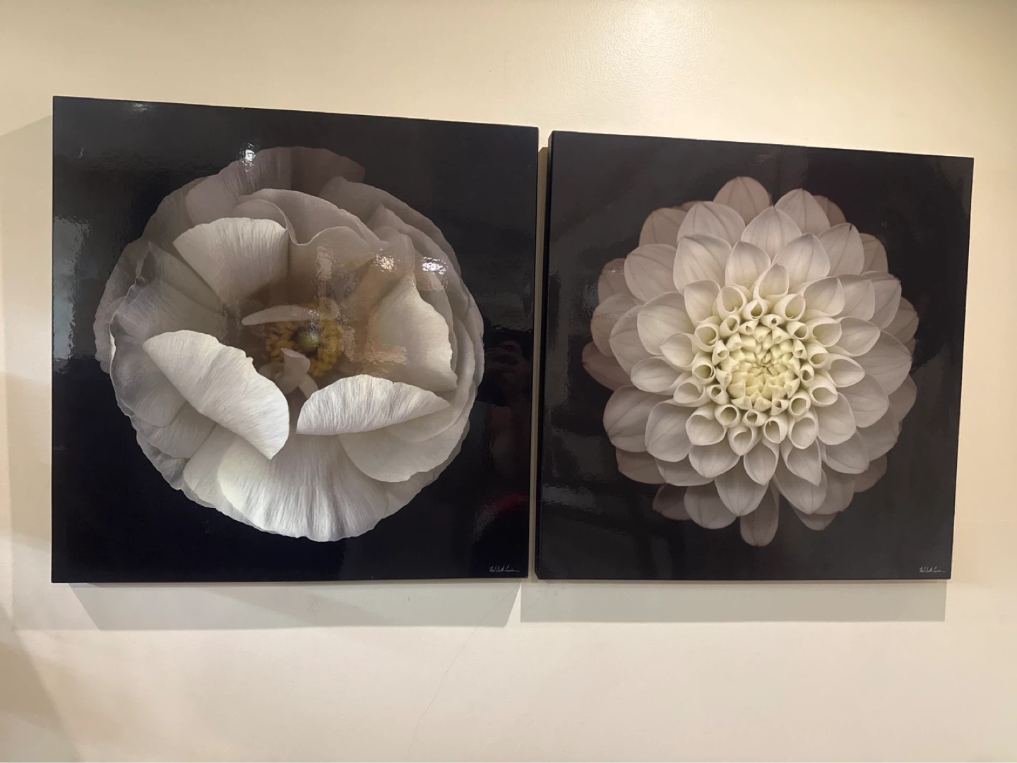 Set of 2 Floral Canvas Prints