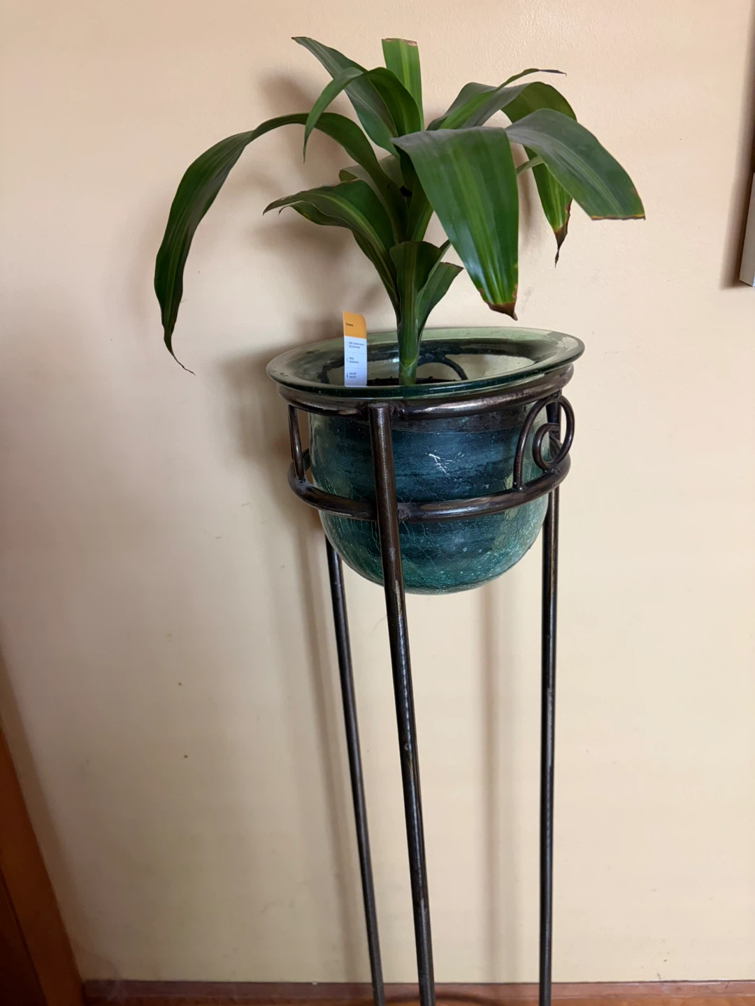 Tube glass  Planter with Metal Stand - photo 2