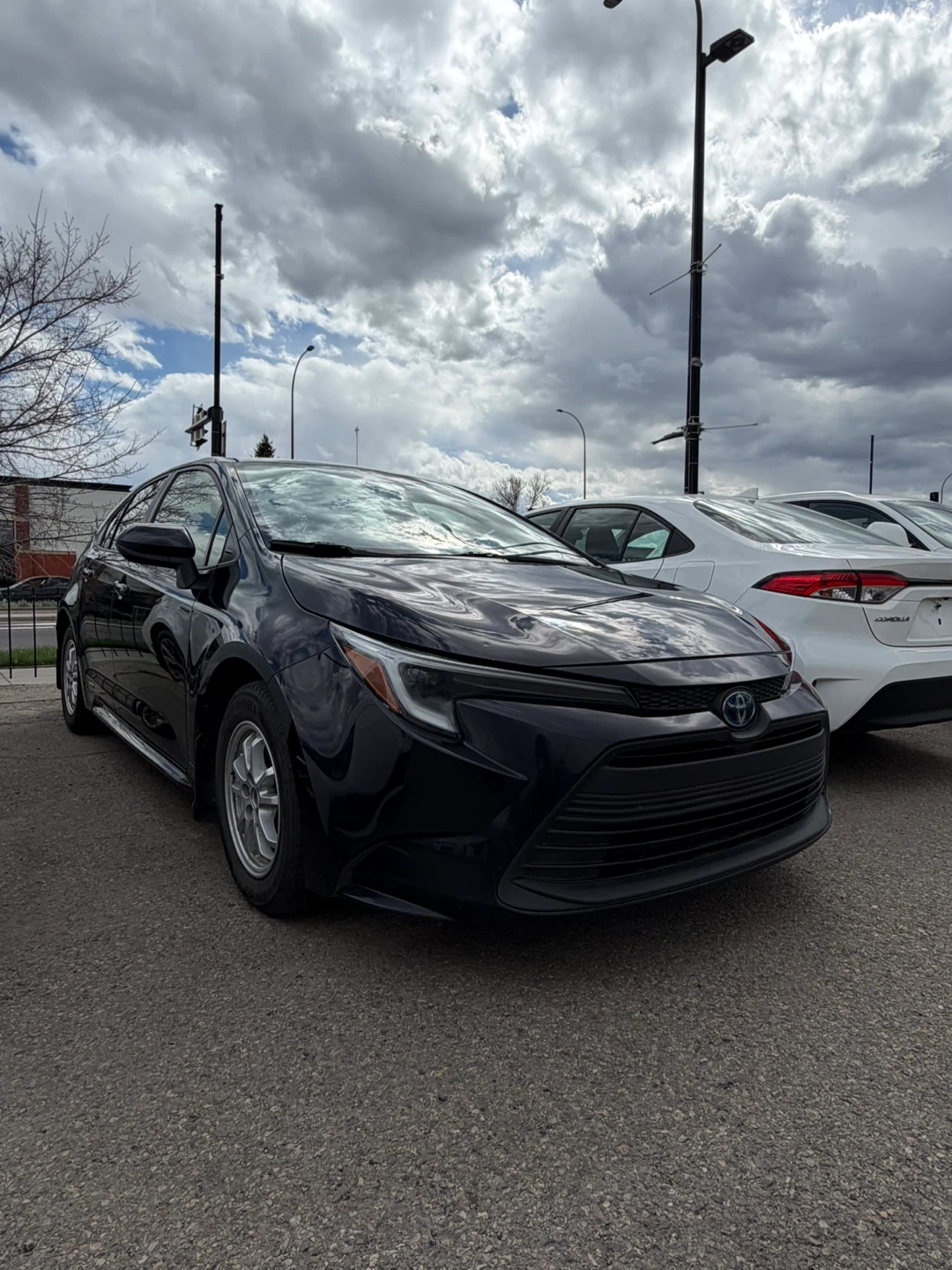 2023 Toyota Corolla Hybrid AWD